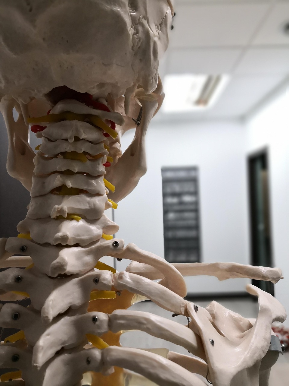 physiotherapy, osteopathy, pilates, yoga, physiotherapy salamanca district, physical therapy in madrid, cabin physiotherapy, couch physical therapy, physical therapy in avenida america, skeleton, clinic, physiotherapy, physiotherapy, physiotherapy, physiotherapy, physiotherapy, osteopathy, osteopathy, osteopathy